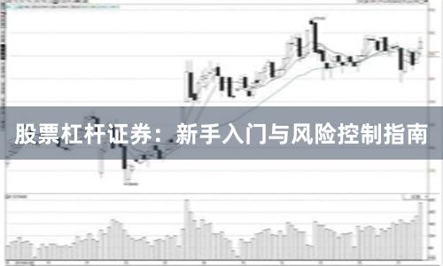 股票杠杆证券：新手入门与风险控制指南