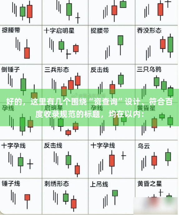 好的，这里有几个围绕“资查询”设计、符合百度收录规范的标题，均在以内：